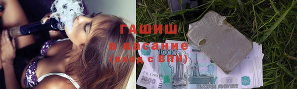 индика Усинск