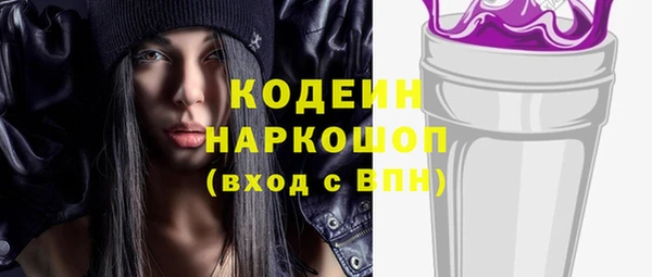 индика Усинск