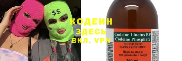 индика Усинск