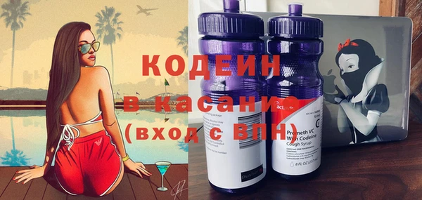индика Усинск