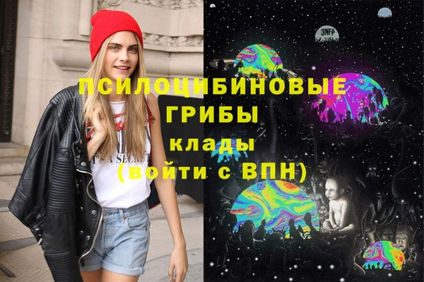индика Усинск