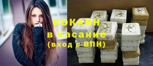 индика Усинск