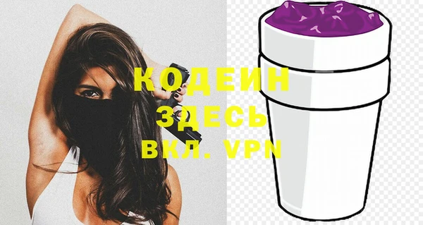 индика Усинск