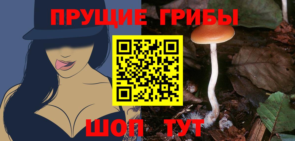 Галлюциногенные грибы Magic Shrooms  Галлюциногенные грибы Cubensis  Бирск  Вход с VPN 